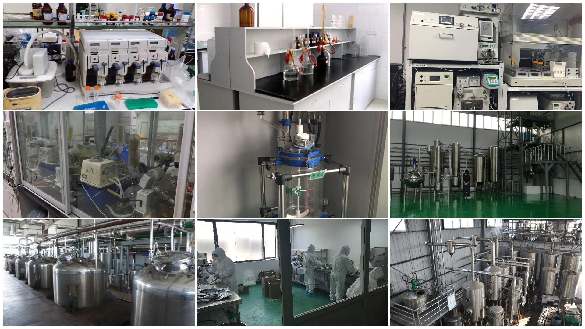 propolis extract powder big sales