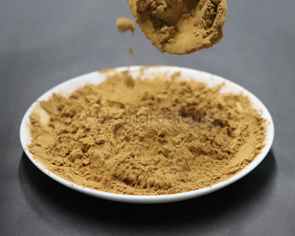 Salvia officinalis extract good quality